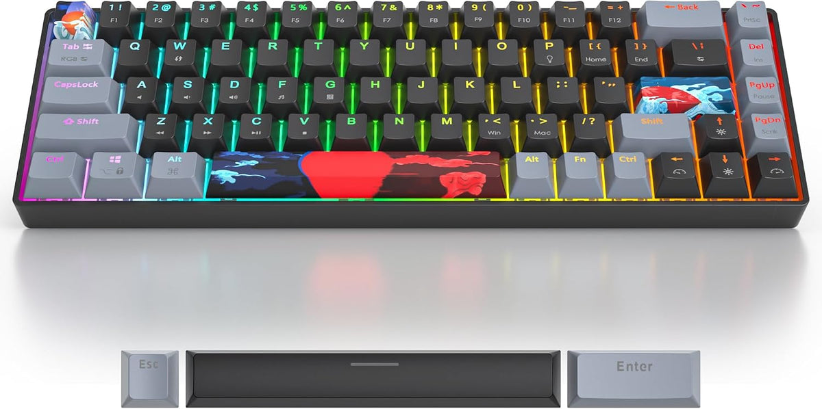 Black and Grey Mechanical Gaming Keyboard 65%, 68 Keys Small Wired RGB Keyboard with PBT Keycaps, Anti-Ghosting for Game/Office