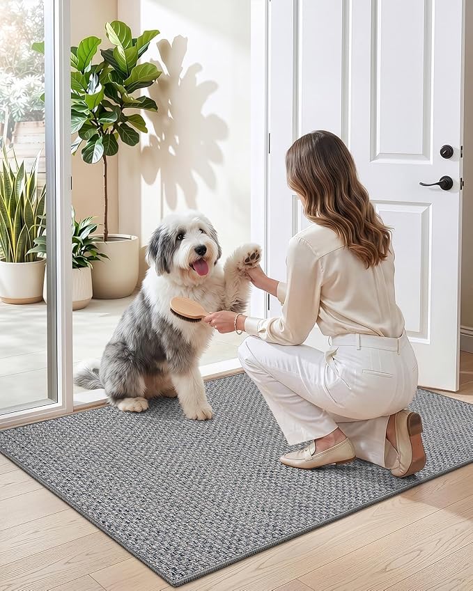 DEXI Ultra Thin Door Mat Indoor Entrance 32x48, Non Slip Rubber Backed Entryway