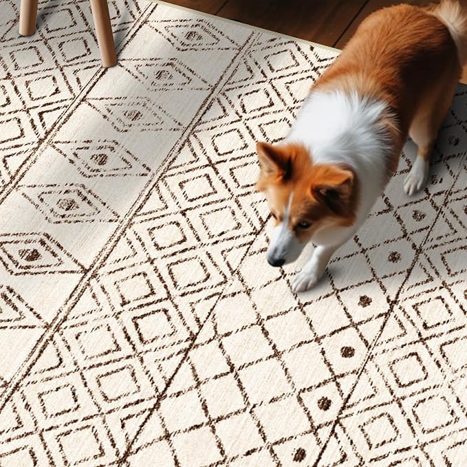 Small Rug 2x3 Washable