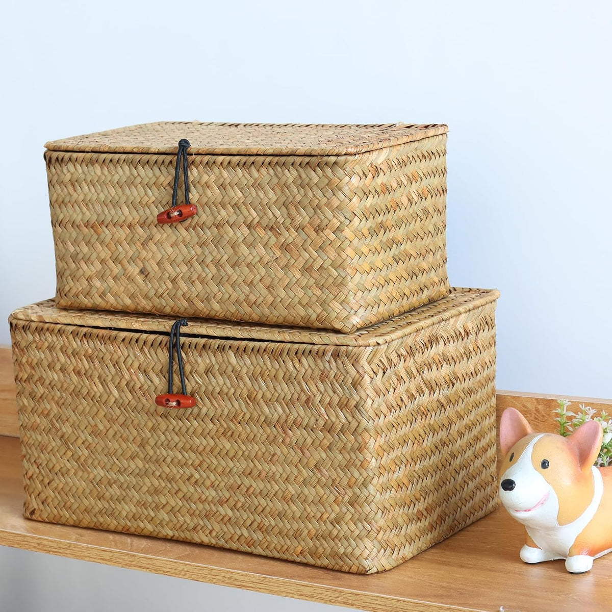 Moosky Wicker Shelf Baskets with Lid,Natural Seagrass Storage Basket Box