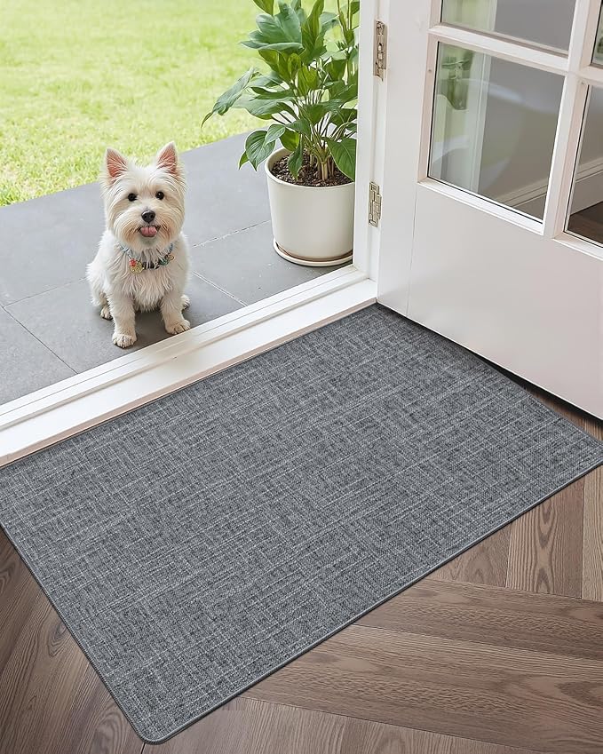 Color&Geometry Ultra Thin Indoor Door Mat 48"x72", Non Slip Rubber Backed Dirt