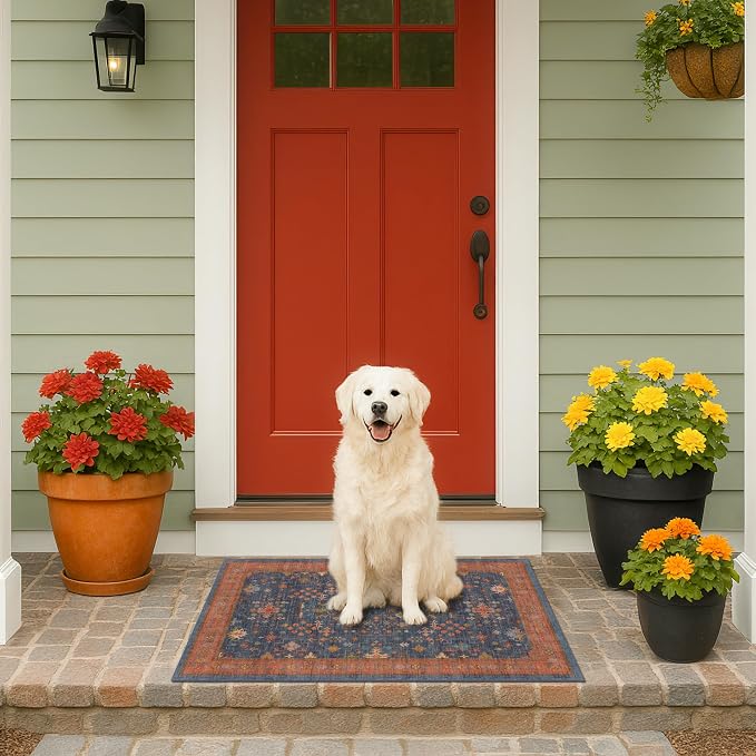 Hazo Haus Washable 2x3 Entry Rug Front Door Indoor, Farmhouse Small Area Rugs
