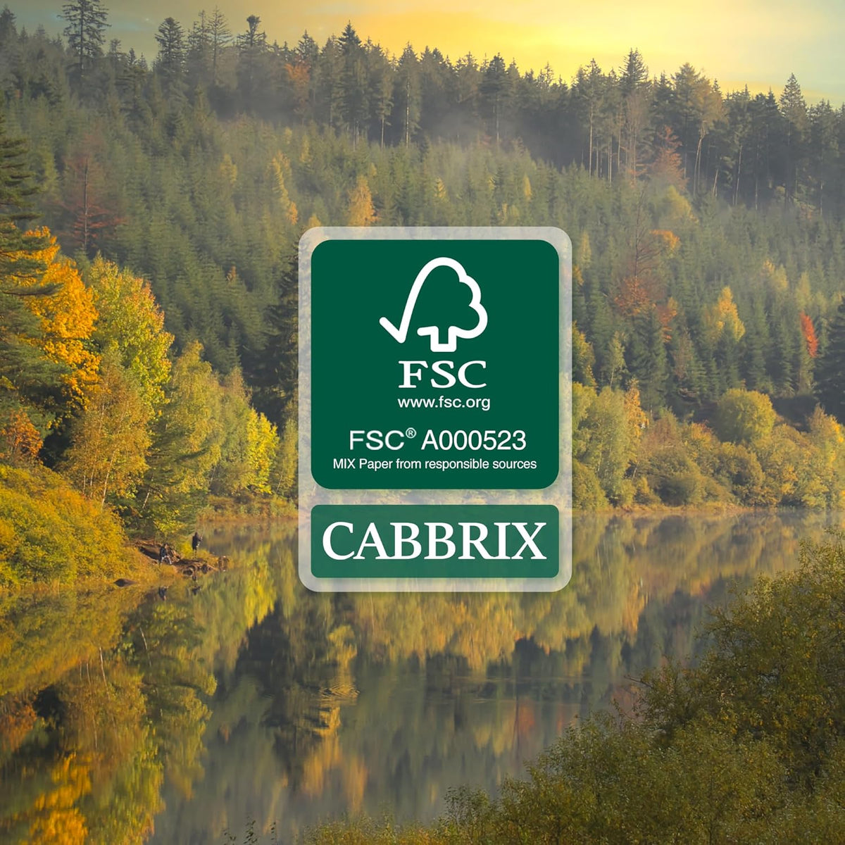 Cabbrix Desk Calendar 2027, Large Desk Pad Calendar 22 x 17" (Blue)