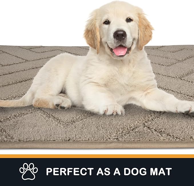 PURRUGS Dirt Trapping Door Mat 24" x 84", Non-Slip Machine Washable Entry Rug