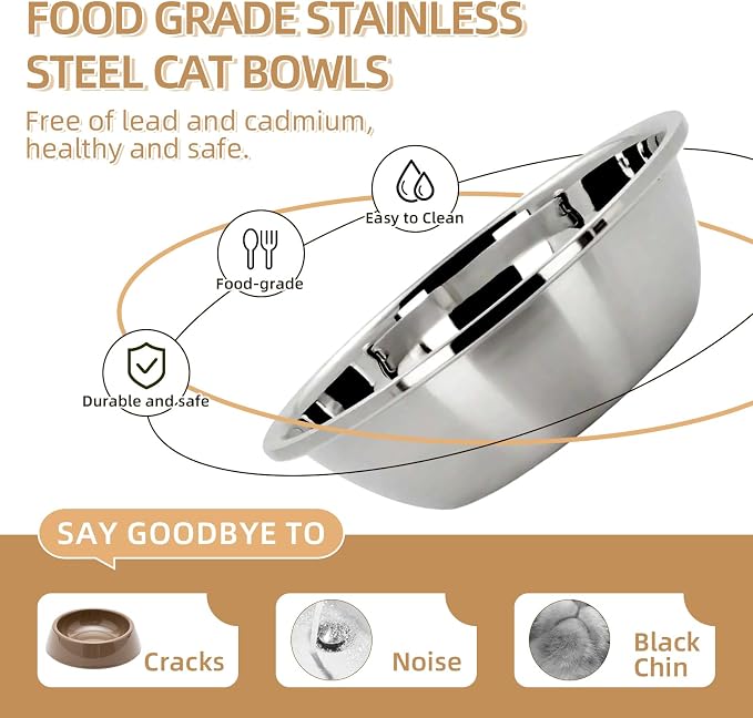 Elevated Cat Bowl with Food Mat, Raised Cat Food and Water Bowl Set