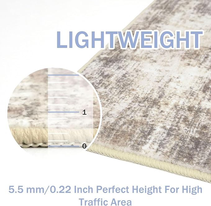 IOHOUZE Abstract Area Rugs 5x7 Ft Washable Rugs