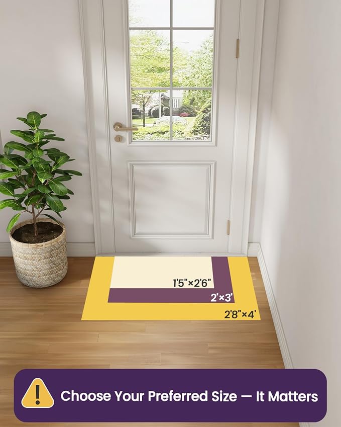 DEXI Ultra Thin Entryway Indoor Door Mat 32x48, Non Slip Rubber Backing Inside
