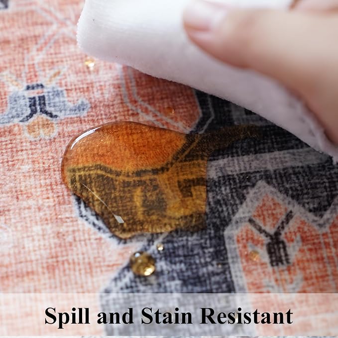 Washable 2x3 Small Area Rug: Vintage Indoor Soft Non Slip Door Mat Stain