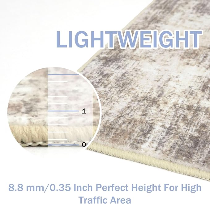 IOHOUZE Small Abstract Area Rug 2x3 Ft Entryway Rugs Washable Door Mat Indoor