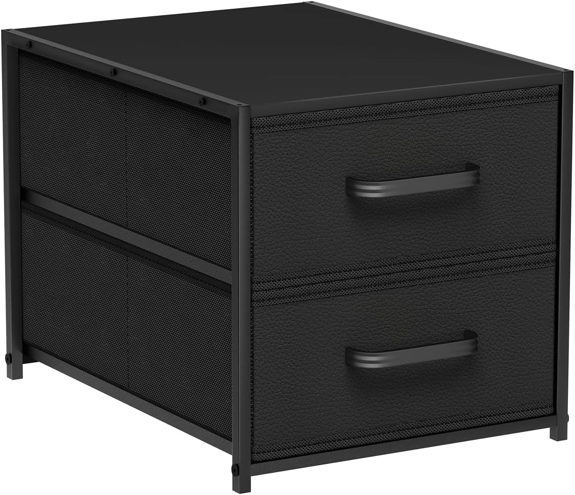 Homsorout 2 Drawers for Closet -Small Fabric Dresser Closet Storage