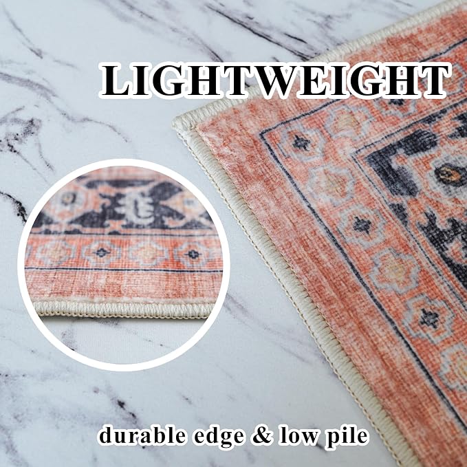Washable 2x3 Small Area Rug: Vintage Indoor Soft Non Slip Door Mat Stain