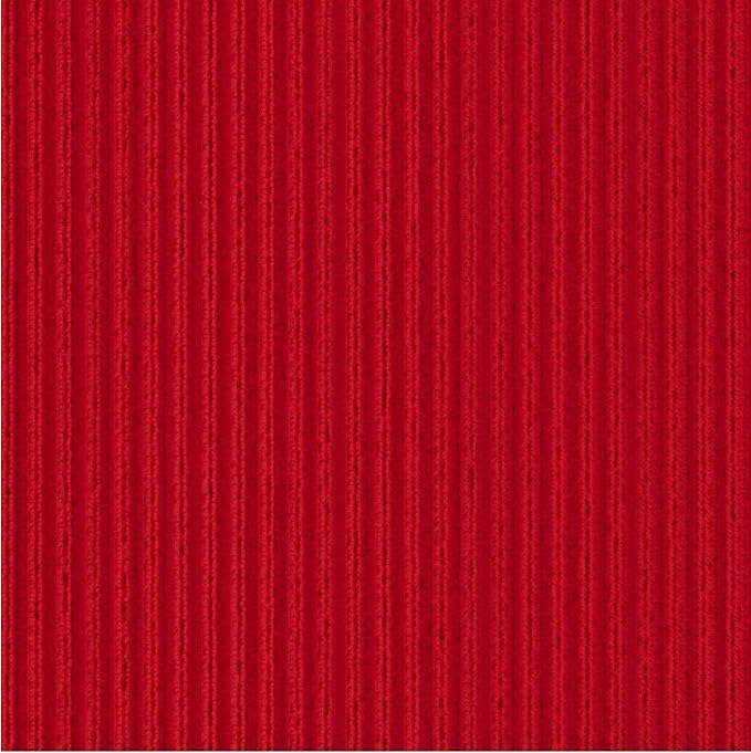 Ottomanson 2'7" x 5' Mud Mat Area Rug Scraper Carpet