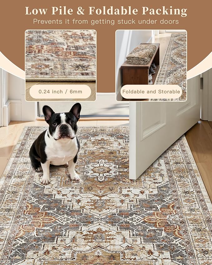 Madane Area Rug 4x6 Washable Rugs: Vintage Living Room Rug Soft Low Pile Non