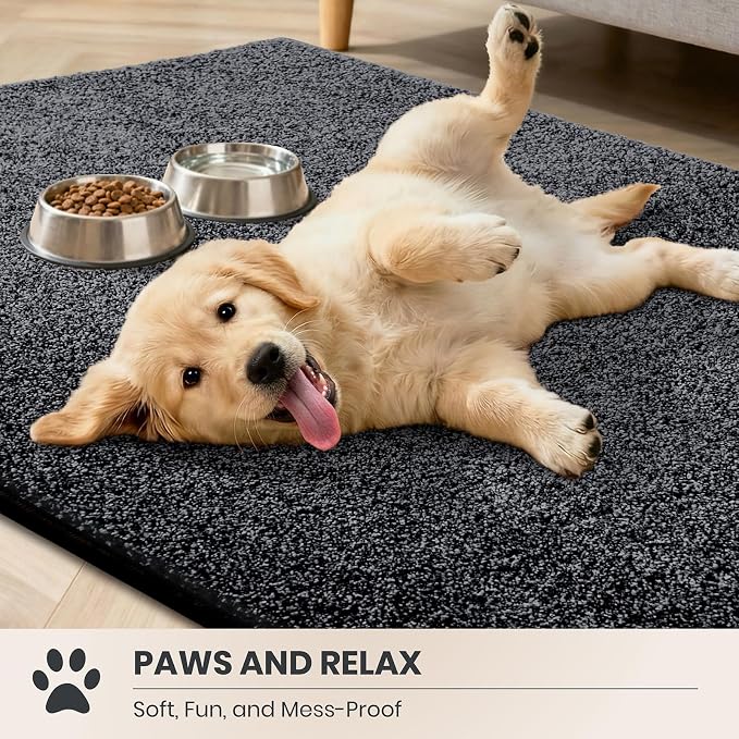 PURRUGS Dirt Trapping Door Mat 31.5" x 47", Non-Slip Machine Washable Entryway