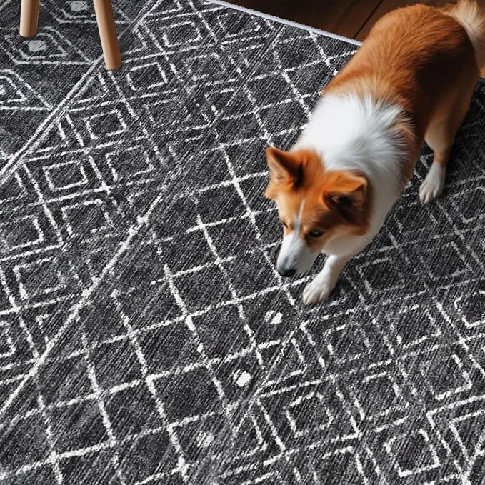 10 x 12 Area Rug