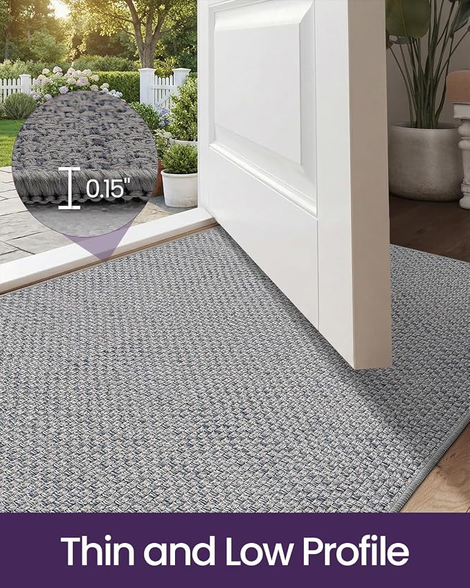 DEXI Ultra Thin Door Mat Indoor Entrance 32x48, Non Slip Rubber Backed Entryway