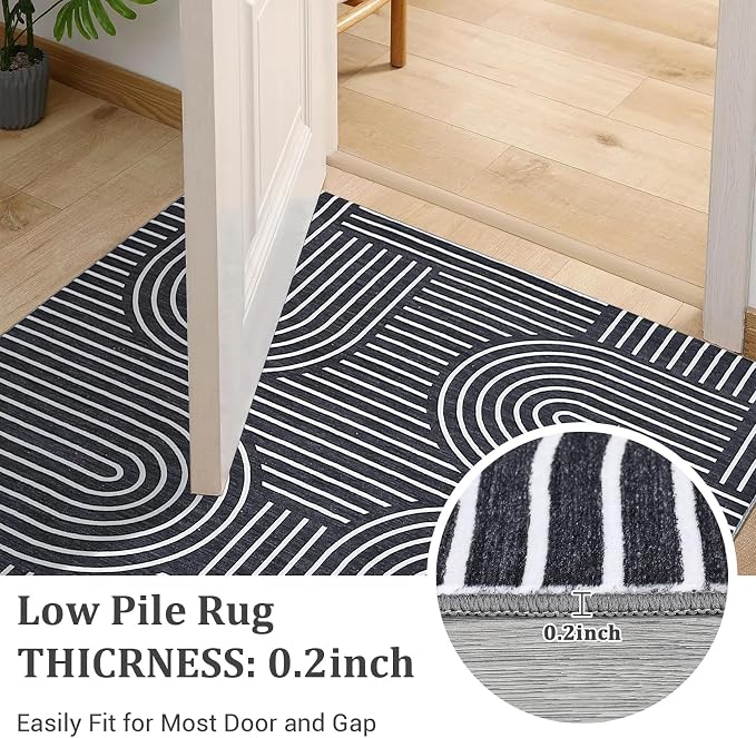 ROYHOME Washable Rug 6x9 Area Rugs