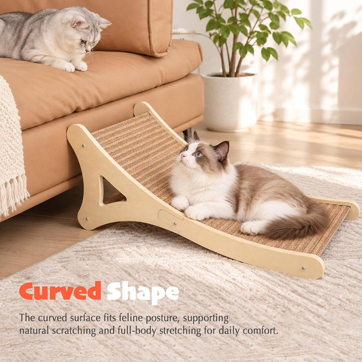 PETKARAY Cork Cat Scratcher, Curved Natural Scratch pad for Indoor Cats