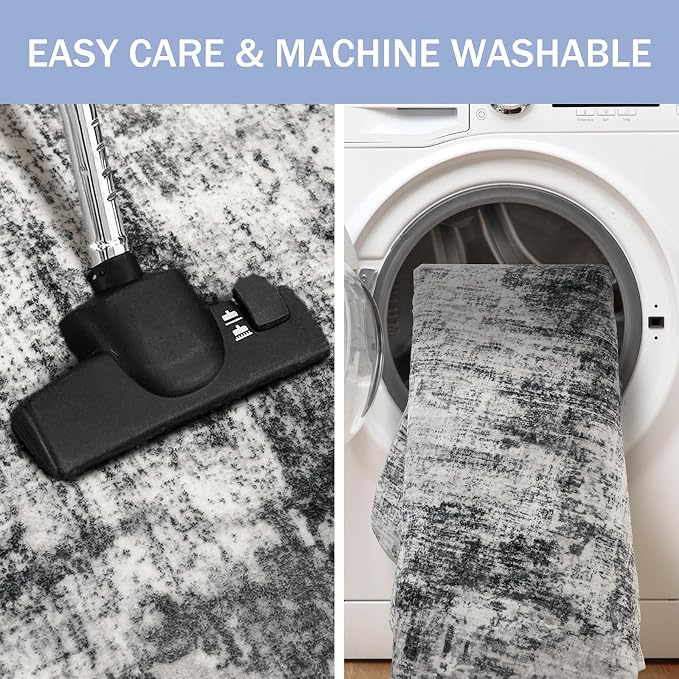 IOHOUZE Small Abstract Area Rug 2x3 Ft Entryway Rugs Washable Door Mat Indoor