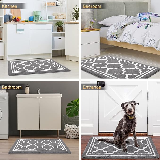 Buganda Indoor Door Mat, Dirt-Resistant and Absorbent Doormat, Low Profile
