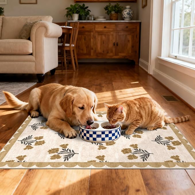 Front Door Mat Outside Entrance