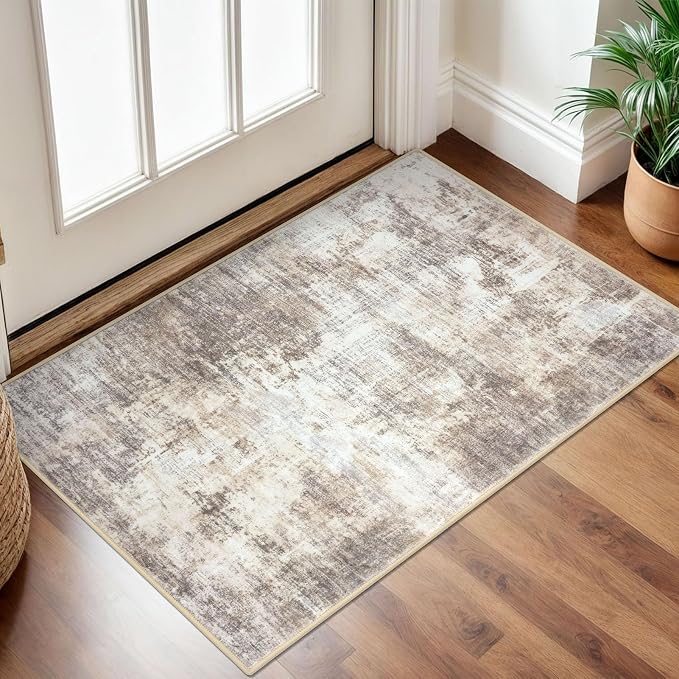 IOHOUZE Small Abstract Area Rug 2x3 Ft Entryway Rugs Washable Door Mat Indoor