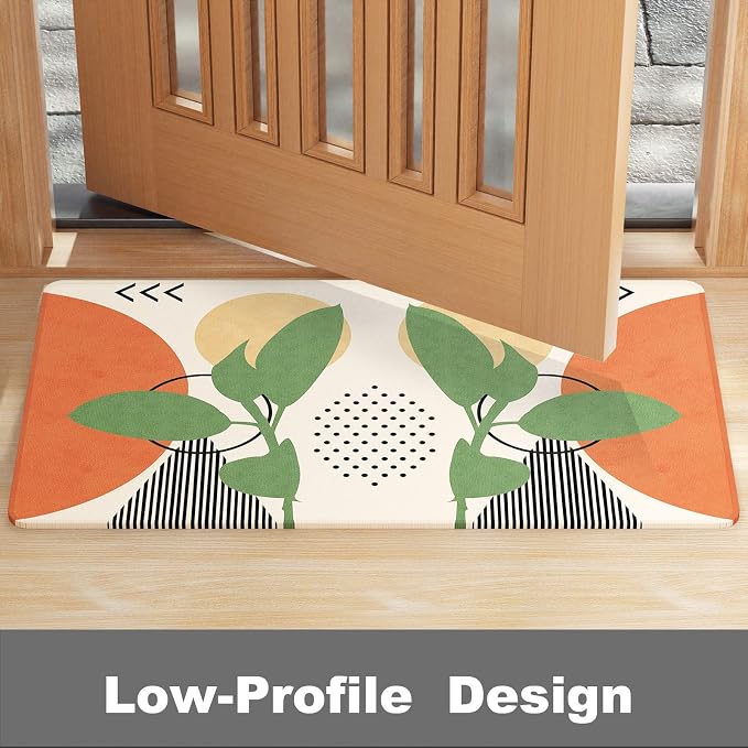 Rnivvi Front Door Mat, Heavy Duty Low Profile Anti-Slip Entryway Rug