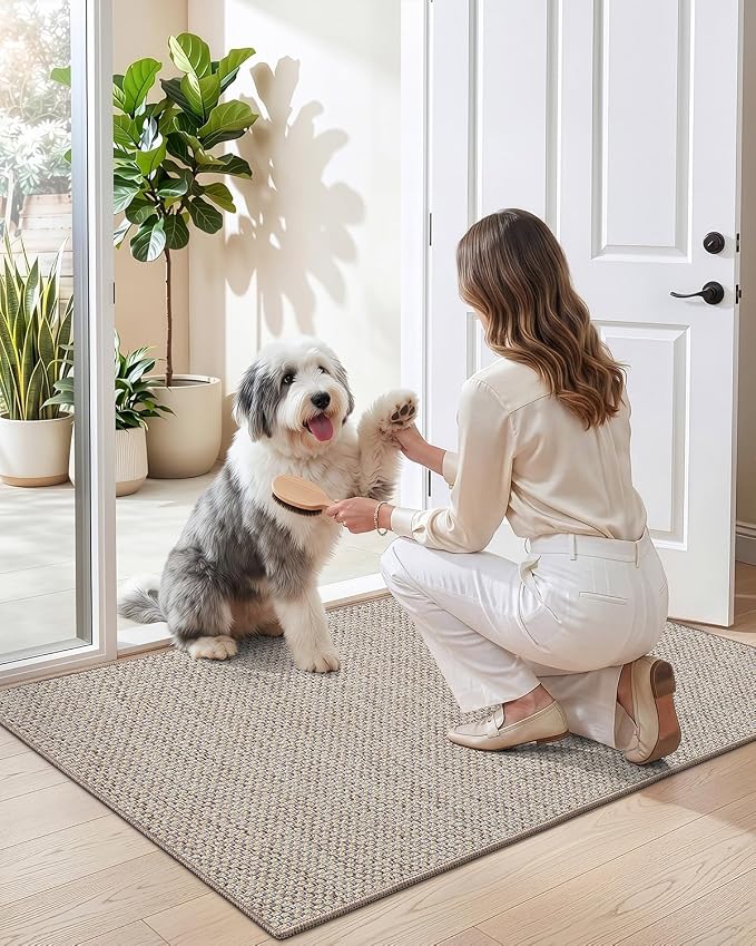 DEXI Ultra Thin Door Mat Indoor Entrance 32x48, Non Slip Rubber Backed Entryway