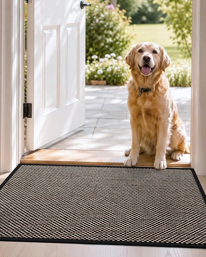 DEXI Ultra Thin Entryway Indoor Door Mat 32x48, Non Slip Rubber Backing Inside