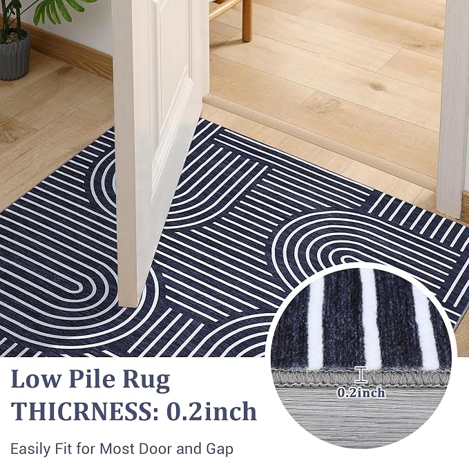 ROYHOME Washable Rug 4x6 Area Rugs