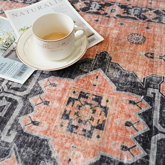 Washable 2x3 Small Area Rug: Vintage Indoor Soft Non Slip Door Mat Stain