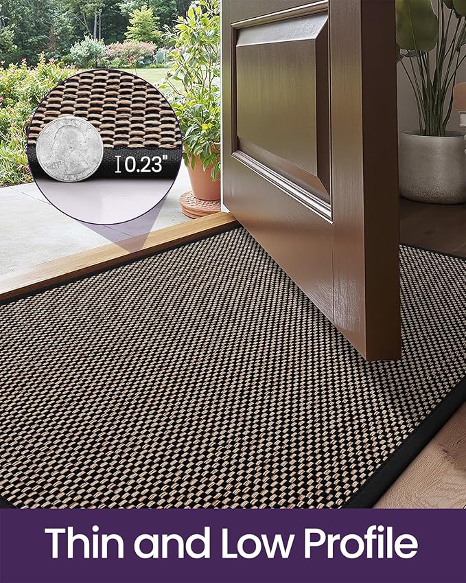 DEXI Ultra Thin Entryway Indoor Door Mat 32x48, Non Slip Rubber Backing Inside