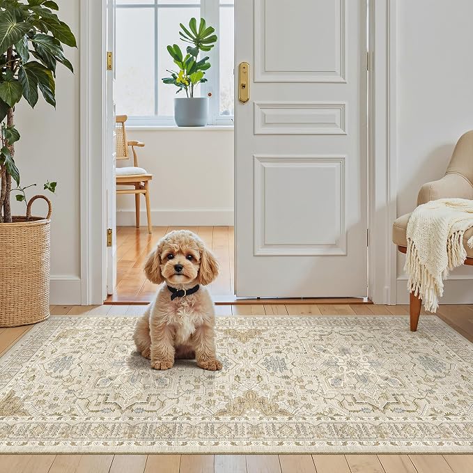 Madane Washable Area Rug 2x4, Small Entryway Rug Non-Slip Vintage Door Mat