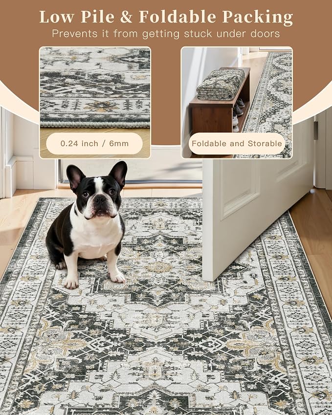 Madane 6x9 Area Rugs for Living Room, Stain Resistant Washable Rugs, Non-Slip