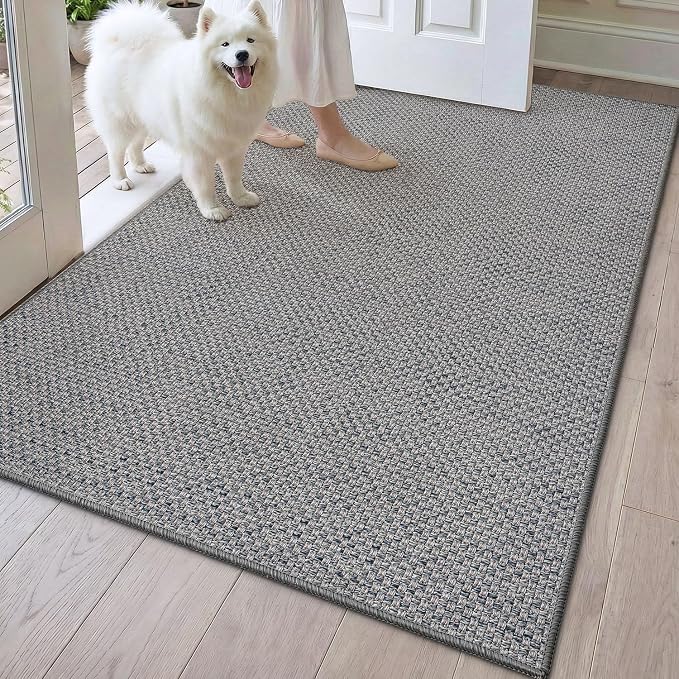 DEXI Ultra Thin Door Mat Indoor Entrance 32x48, Non Slip Rubber Backed Entryway