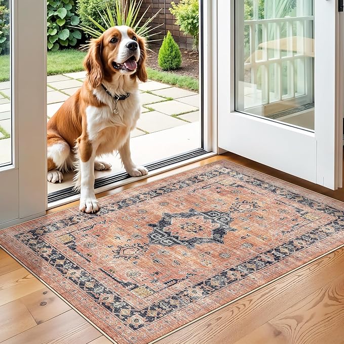 Washable 2x3 Small Area Rug: Vintage Indoor Soft Non Slip Door Mat Stain