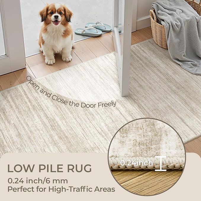 3x4 Washable Area Rug for Entryway, Soft Kitchen Rugs Non Slip for Dining Room