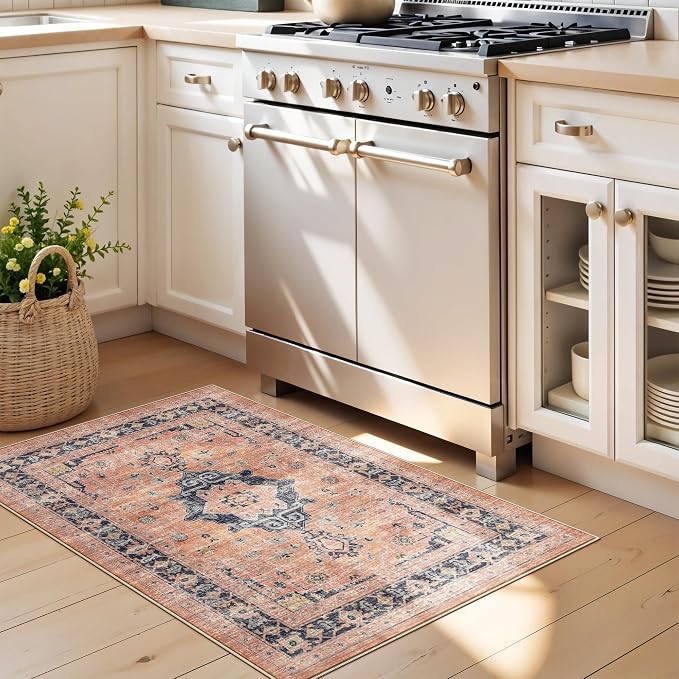 Washable 2x3 Small Area Rug: Vintage Indoor Soft Non Slip Door Mat Stain