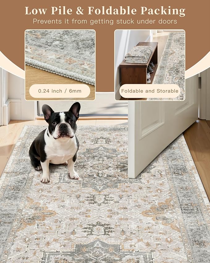 Madane Washable Area Rug 2x3, Small Entryway Rug Non-Slip Vintage Door Mat