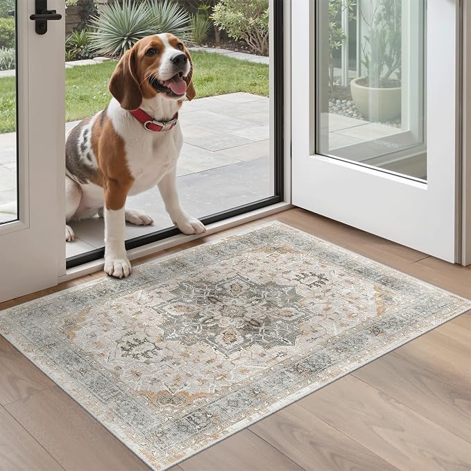 Madane Washable Area Rug 2x3, Small Entryway Rug Non-Slip Vintage Door Mat
